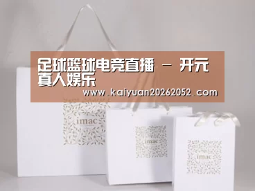 项目名称十一