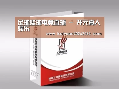 项目名称十三