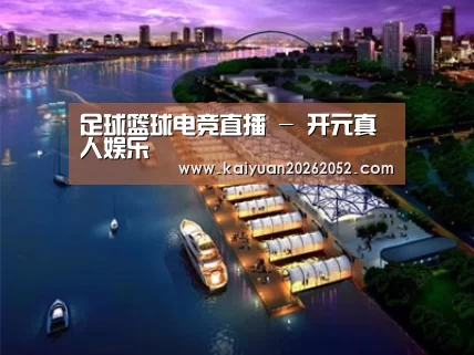 案例展示八